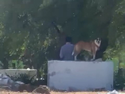  فيديو: تدنيس حرمة مقبرة الشيخ مراد ودعوات للاهتمام بها